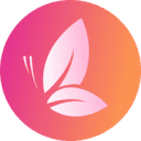 Peak Wellness logo